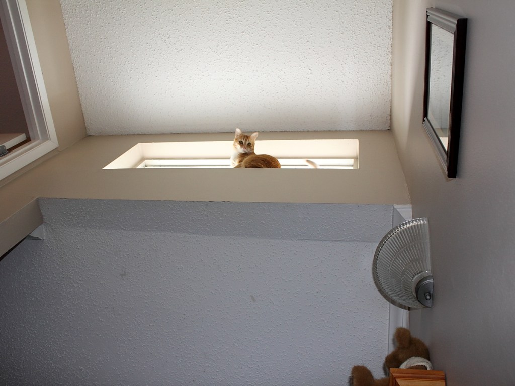 Chris in Window - View from below