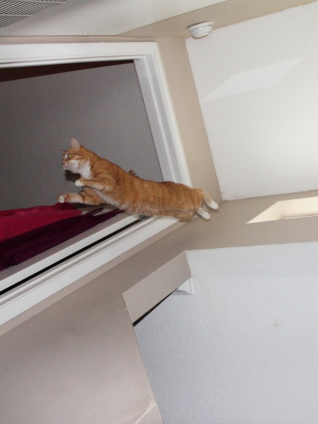 Chris jumping down from Window