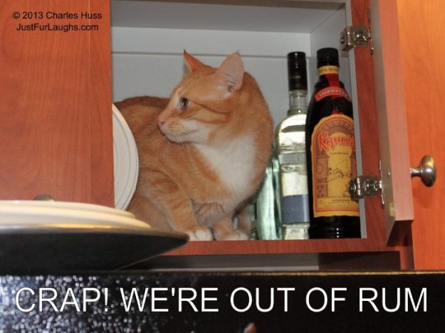 Crap We're out of Rum