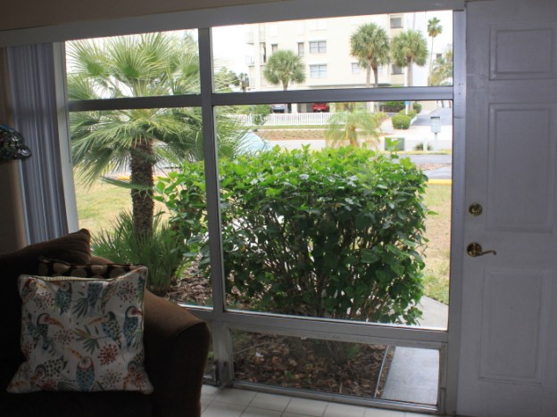 Our big picture window