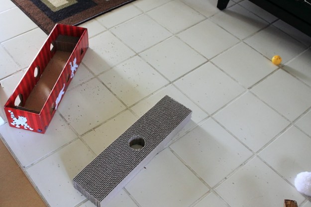 Scratch-n-maze pulled apart by cats