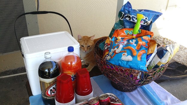 Bad Cat Chris on party table