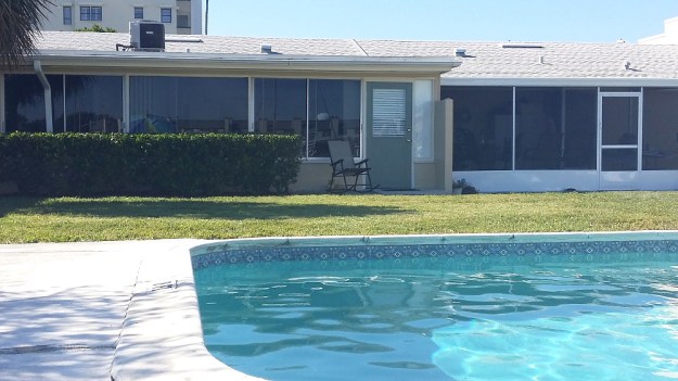 Bad Cat Chris outside