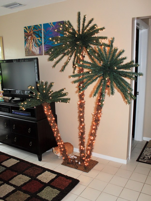Bad Cat Chris with our palm tree Christmas Tree