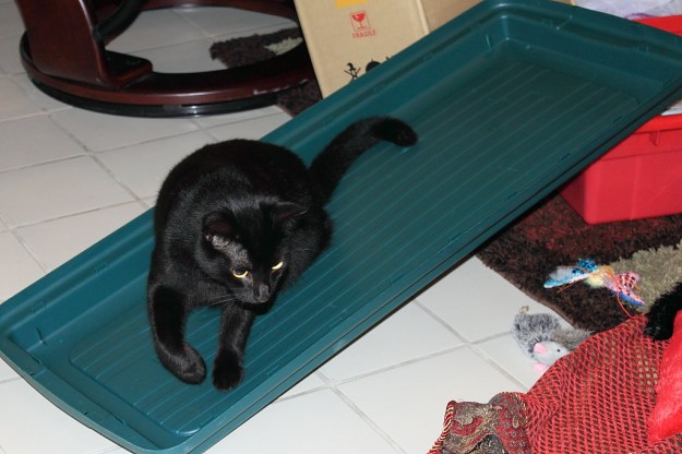 Puck on container cover.