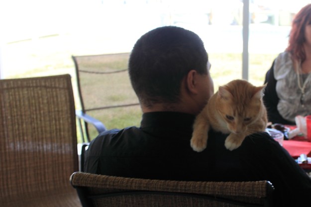 Bad Cat Chris and Chris