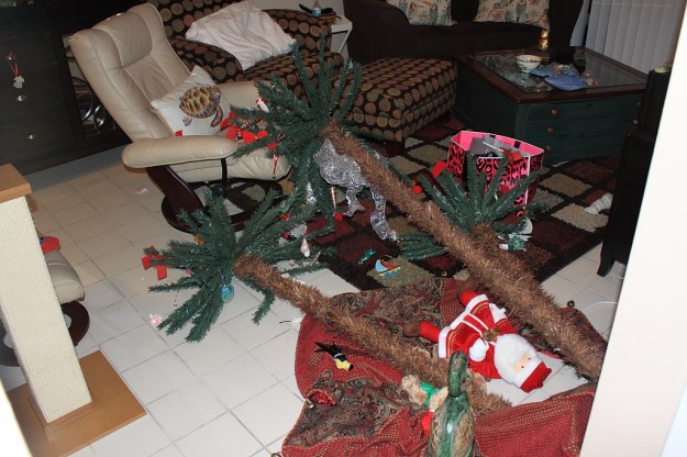 Christmas tree after cats knocked it over.