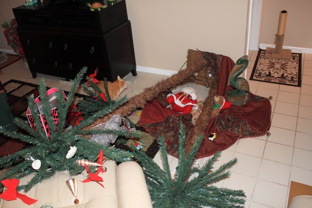 20131230_Fallen tree_187