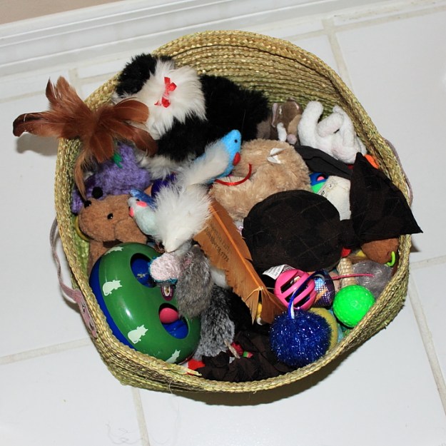 cat tox box (basket)