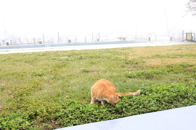 20140201_Chris outside_218