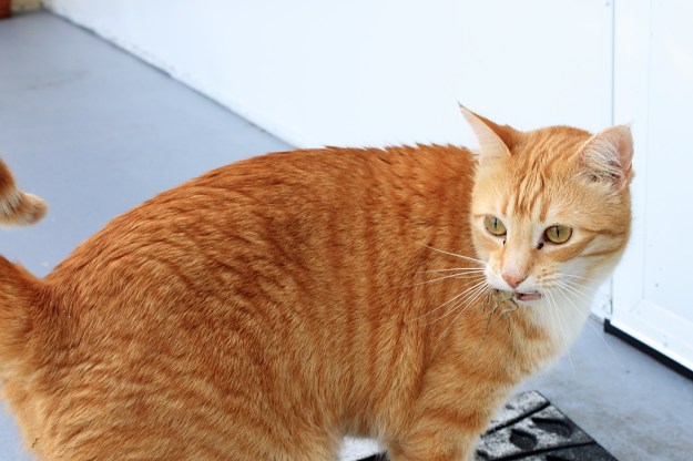 20140406_Chris outside_0697