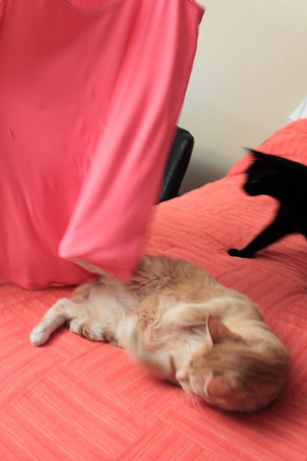 20140621_Chris and Puck_063