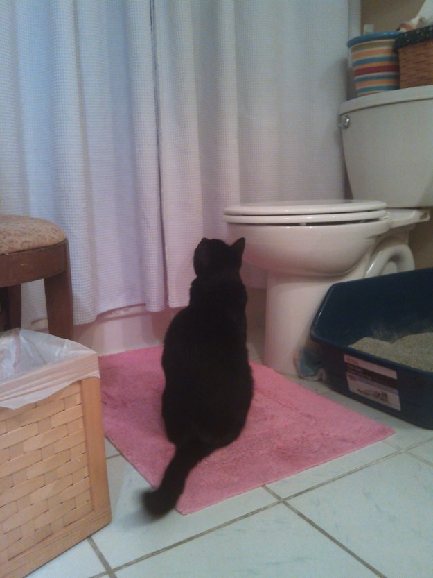 20140820_210641_Puck