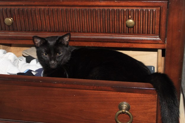 Puck in drawer