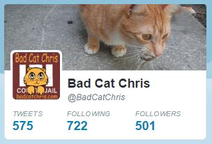 Bad Cat Chris Twitter page