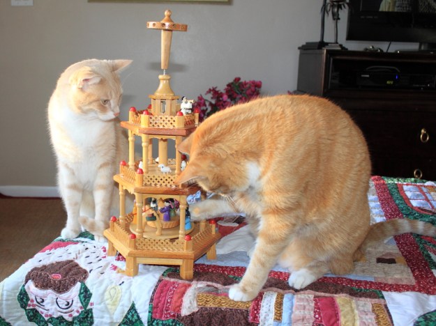 Bad Cat Chris and Frankie