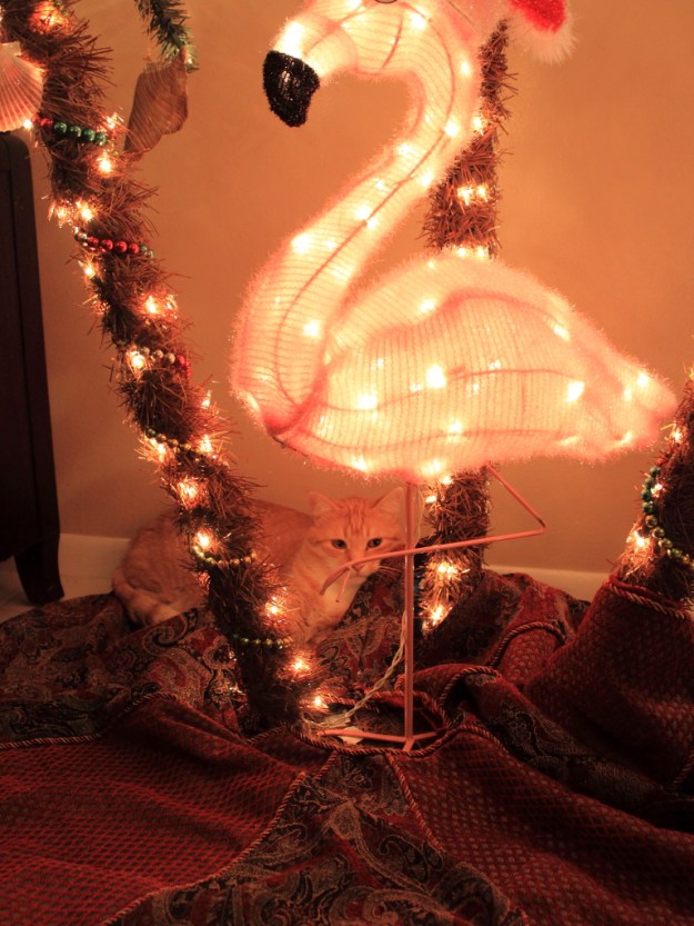 Bad Cat Chris and Christmas tree.