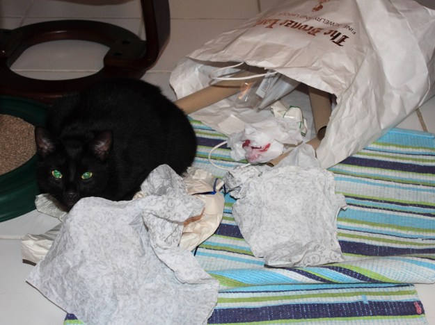 our cat Puck