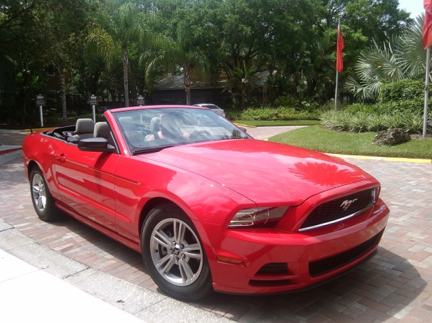 Rose and our new Mustang
