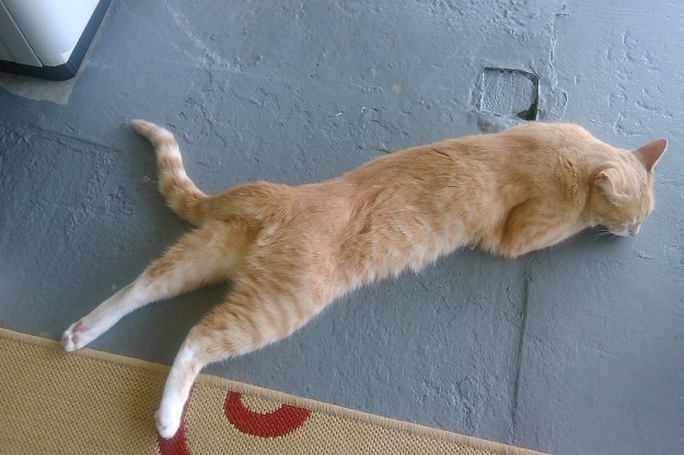 IMG_20140601_160639_041