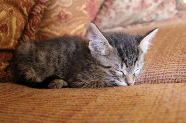 20150905_Felice's house_050