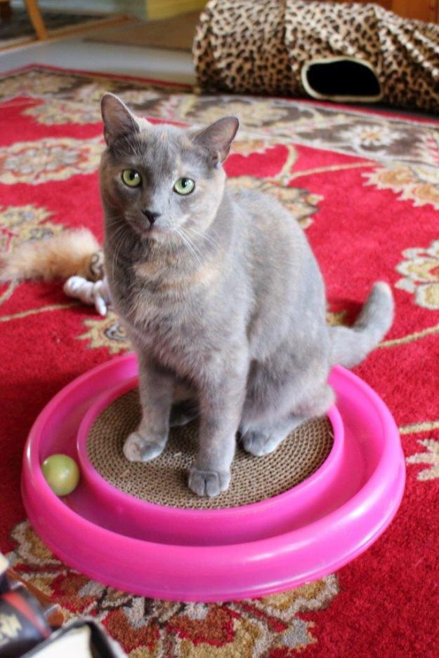 20150905_Felice's house_051