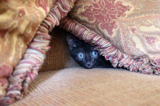 20150905_Felice's house_054