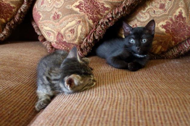 20150905_Felice's house_067