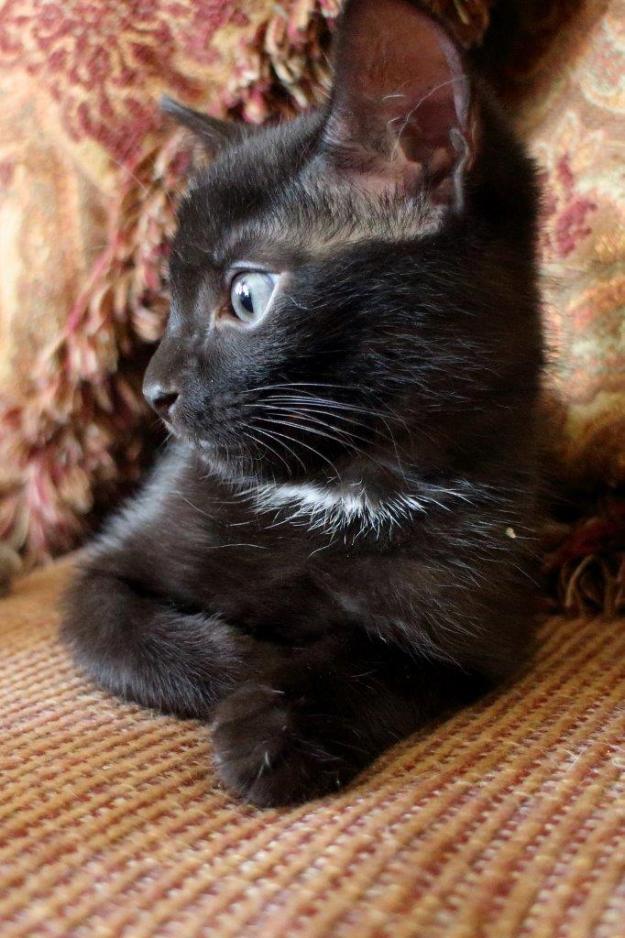 20150905_Felice's house_073