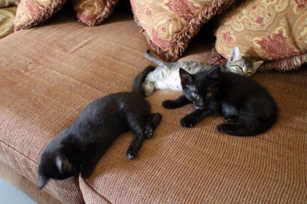 20150905_Felice's house_103