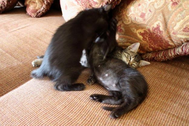 20150905_Felice's house_109