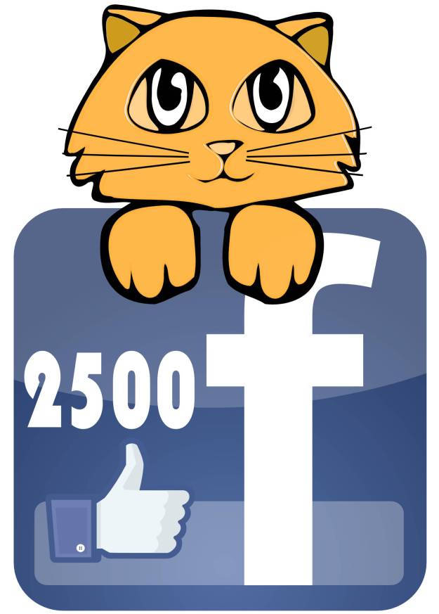 Bad Cat Chris gets 2500 likes on facebook