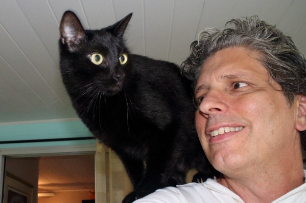 Cat Puck on sholders