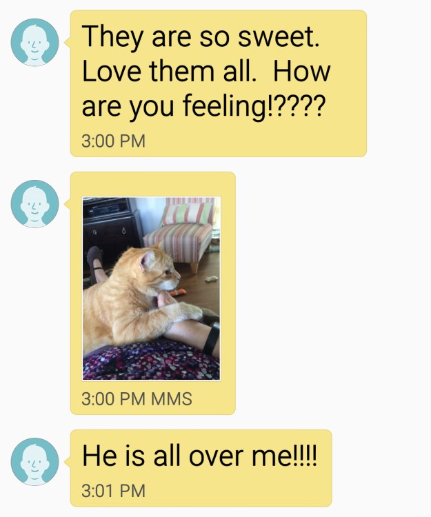 Screenshot_2015-10-10-06-20-53