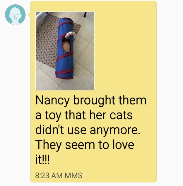 Screenshot_2015-10-10-06-21-52