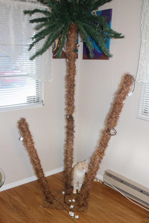 cats and Christmas tree