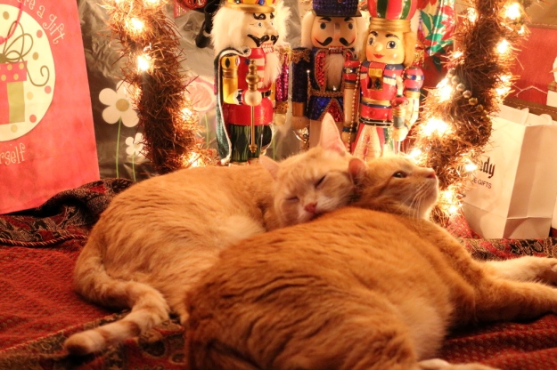 Cats Frankie and Chris under Christmas tree with Nutcrackers