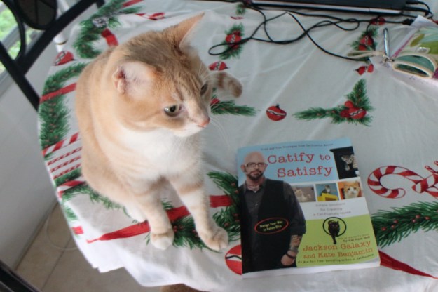 Cat Frankie and book Catisfy to Satisfy