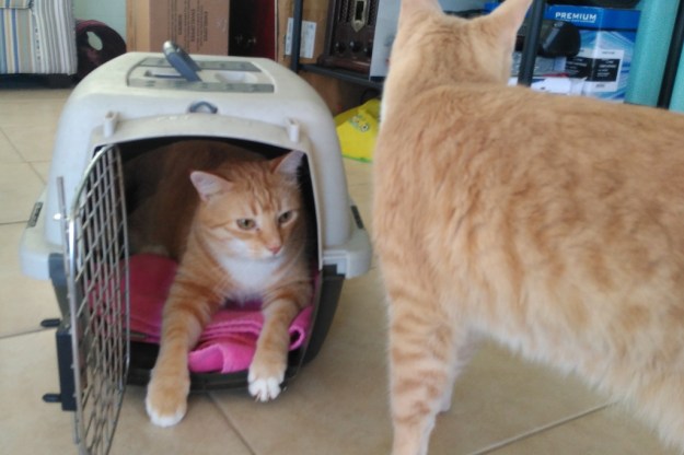 IMG_20151212_120720 chris and frankie