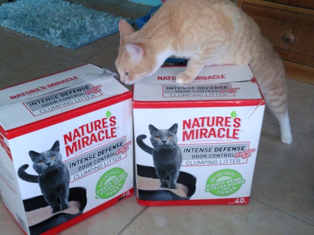 Nature's Miracle cat litter