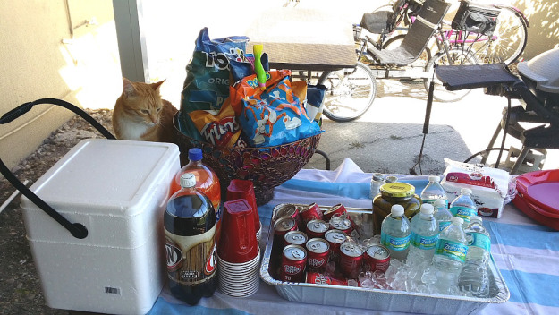Bad Cat Chris on party table