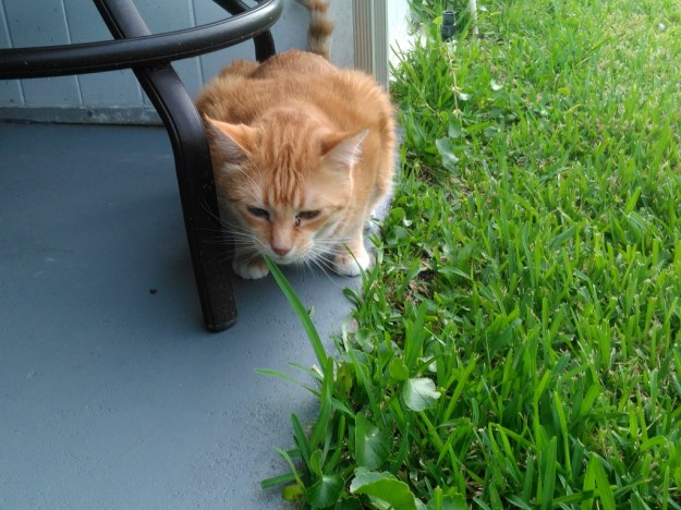 20160719_185022 Chris