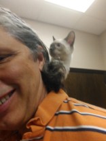 Kitten Floki on my shoulders