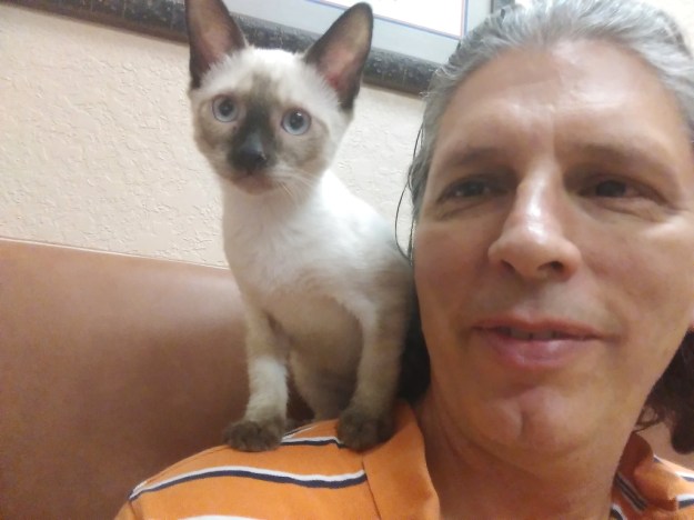 Kitten Floki on my shoulders