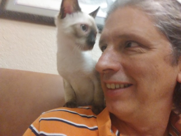 Kitten Floki on my shoulders