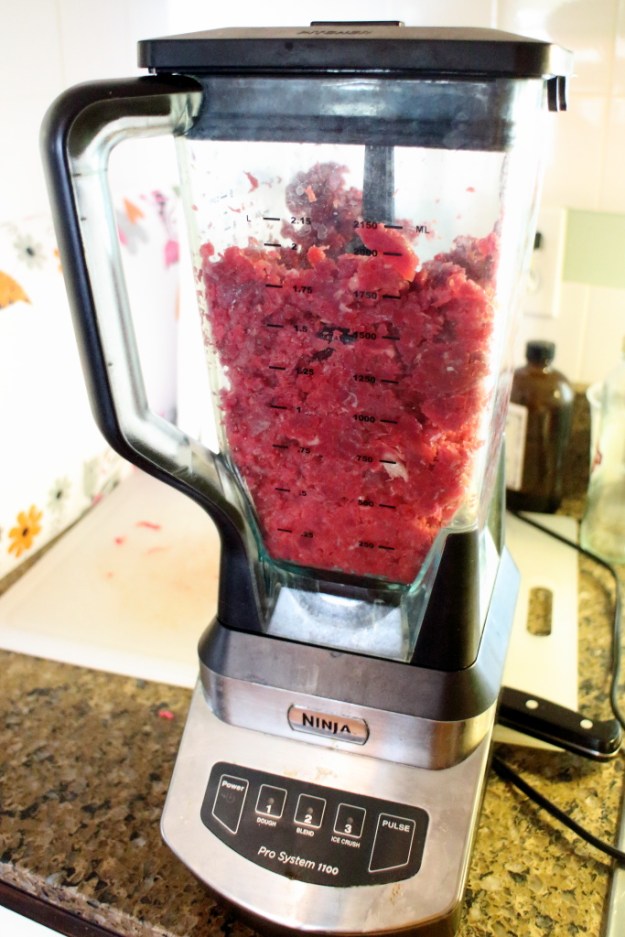 20160731_raw cat food_2290