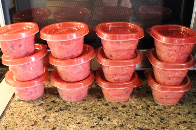 20160731_raw cat food_2306