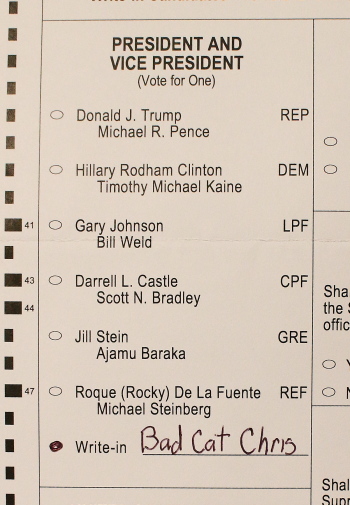 bad cat chris for president ballot