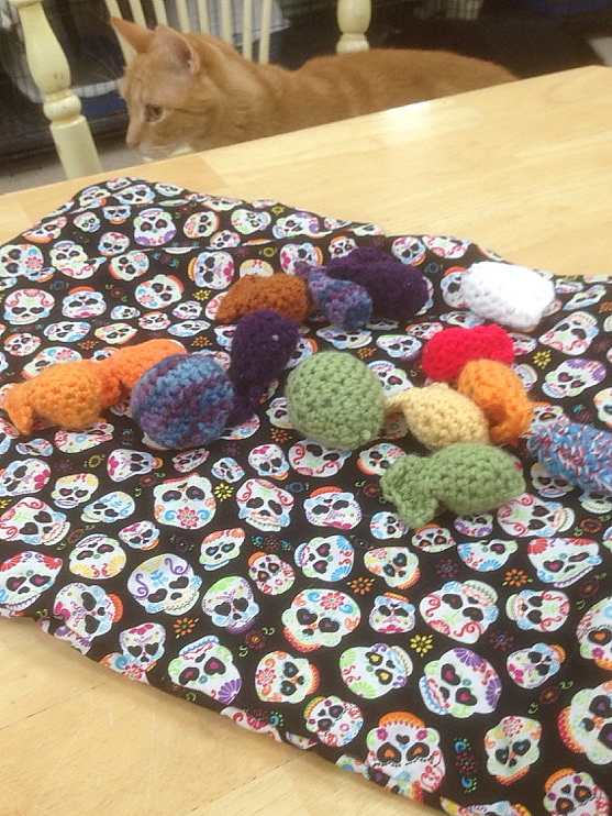 cats with toys at sav-r-cats cat shelter 