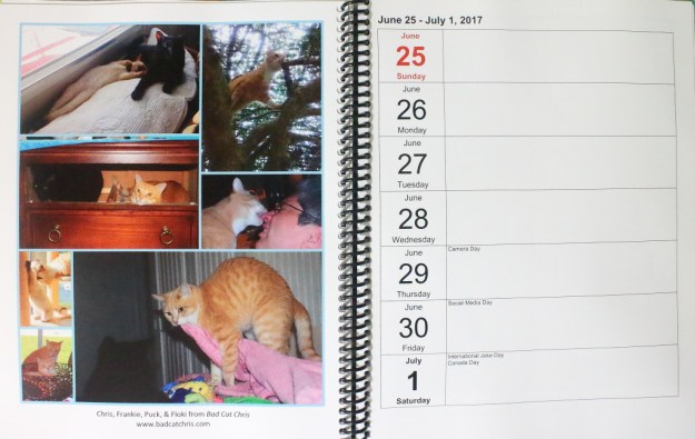 cat blogosphere calendar